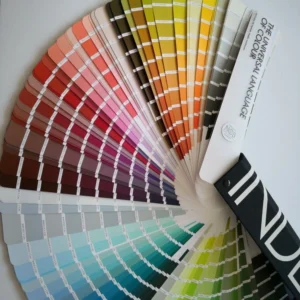 La Couleur : Les Fondations – Niveau 1